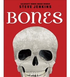 Bones: Skeletons and How They Work