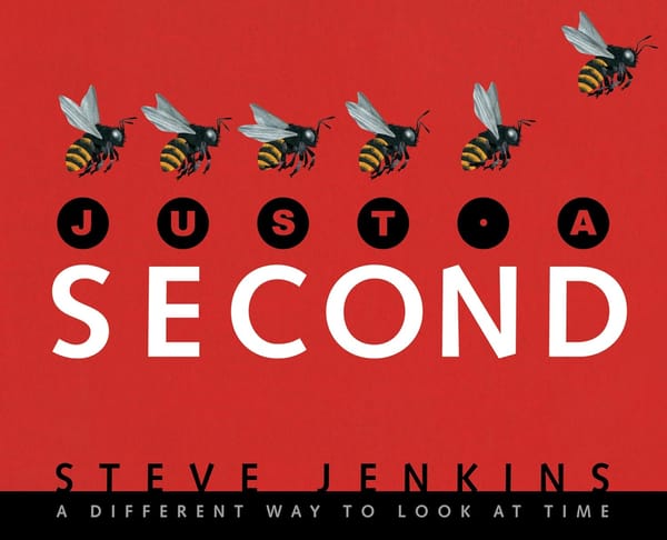 Just a Second: a different way to look at time